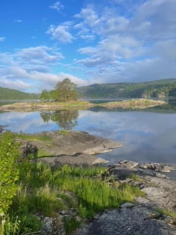 Hyttelaven Pa Furuholmen Sarpsborg Zewnętrze zdjęcie