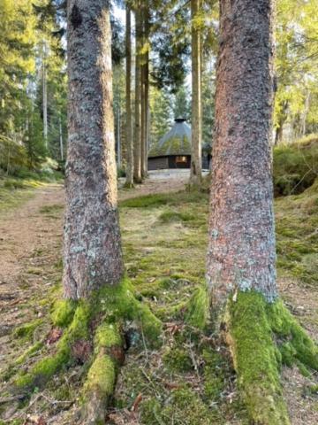 Hyttelaven Pa Furuholmen Sarpsborg Zewnętrze zdjęcie